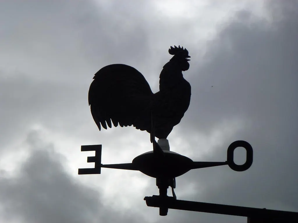 Albergo Bar Meuble Al Gallo Auronzo di Cadore Ιταλία